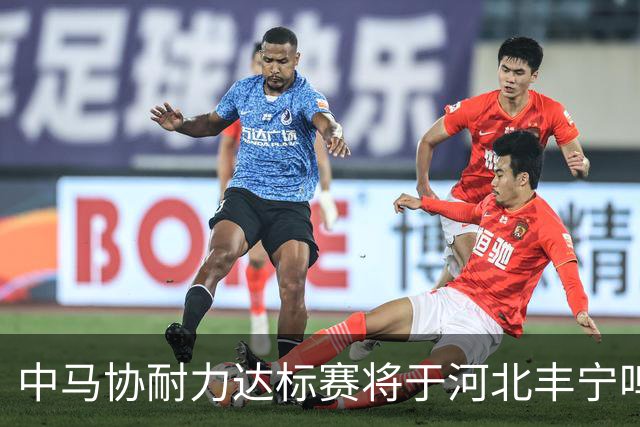 中马协耐力达标赛将于河北丰宁鸣枪 数十家专业马术俱乐部角逐