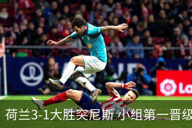 荷兰3-1大胜突尼斯 小组第一晋级淘汰赛将战摩洛哥